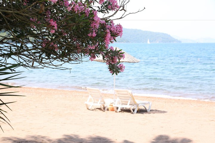 Beach 64 of 87