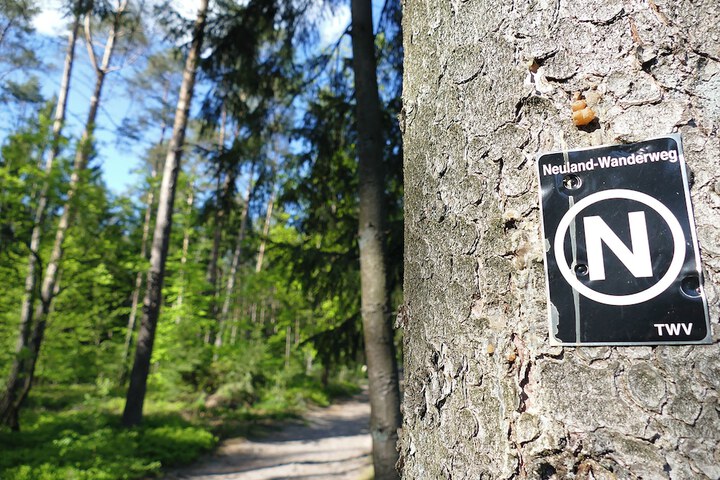Hiking