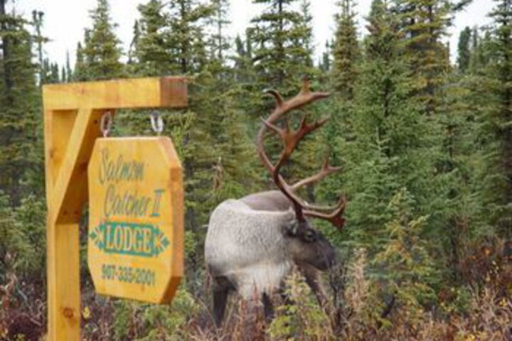 Property Grounds 145 of 158