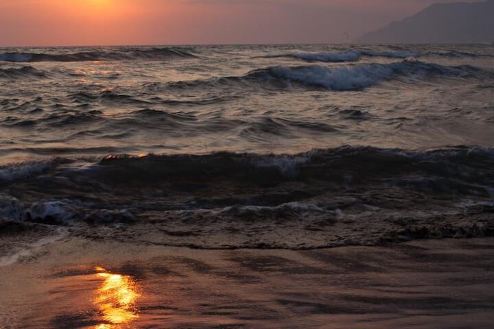 Beach 48 of 63