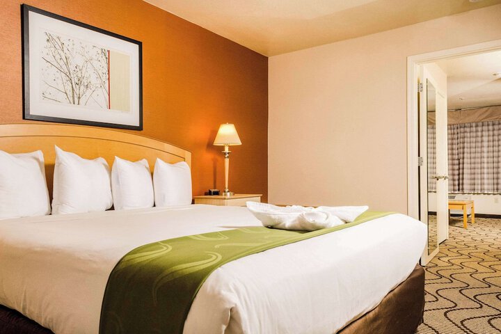 1 King Bed (7 of 9)