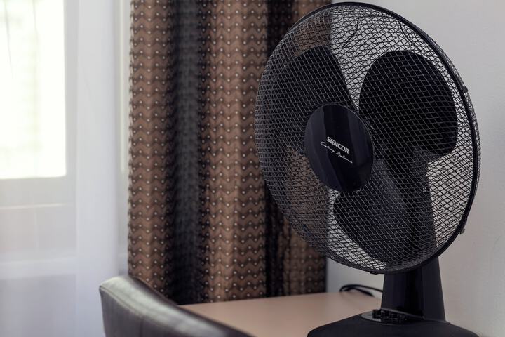 Fan