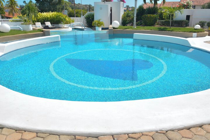 Pool 26 of 77