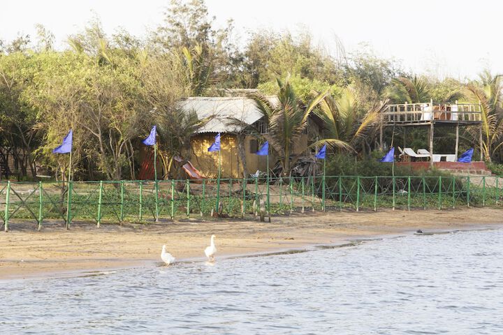 Beach 82 of 101