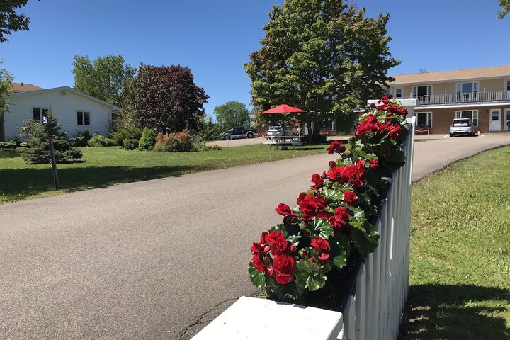 Property Grounds 54 of 70