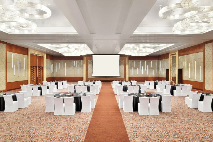 Meeting 80 of 84