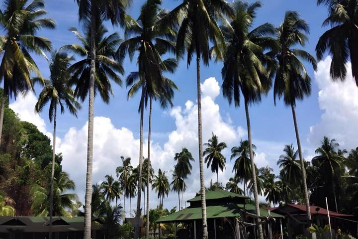 Image of Fishing Bay Resort
