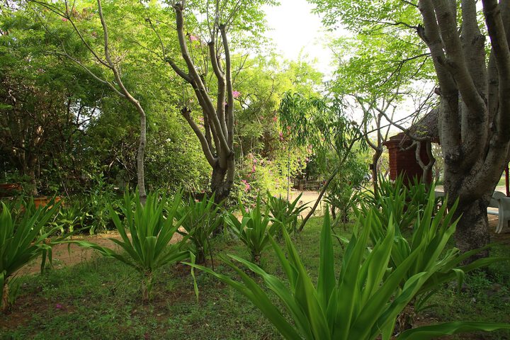 Property Grounds 21 of 37