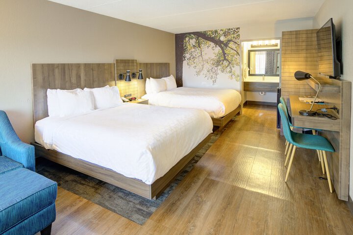 2 Queen Beds (4 of 15)