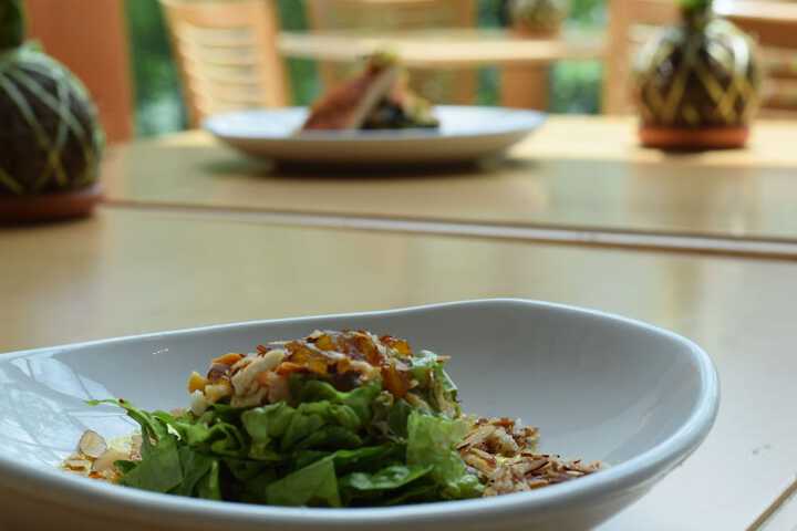 Dining 153 of 230