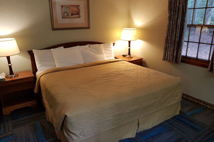 Basic King Bed (1 of 6)