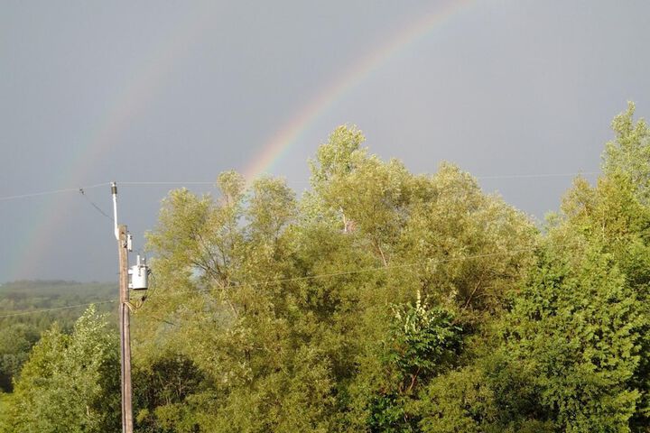 Property Grounds 40 of 52