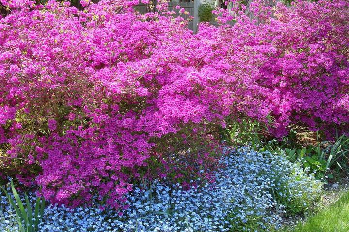 Property Grounds 20 of 40