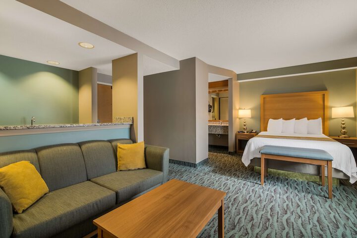 1 King Bed Business Plus Room, Microwave, Refrigerator Full Breakfast (32 of 36)
