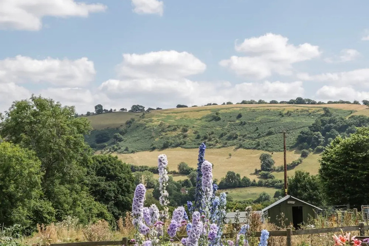 The Owl House Llanfyllin