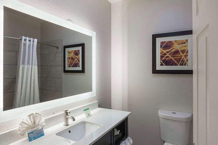 1 King Bed Suite (3 of 21)