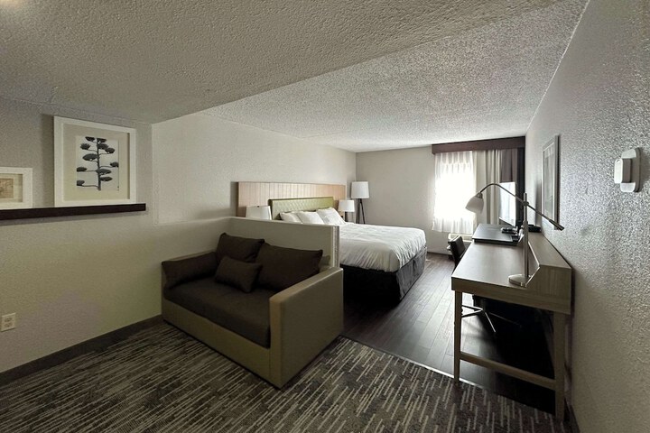 1 King Bed Accessible (4 of 14)