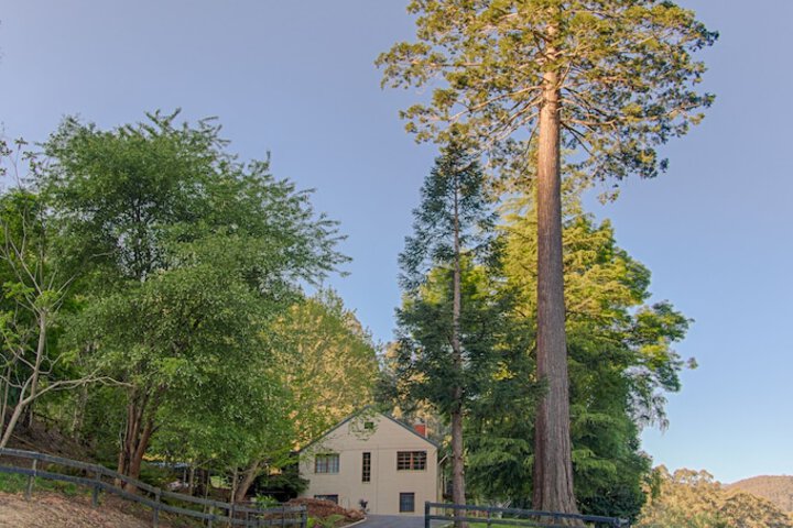 Property Grounds 32 of 39