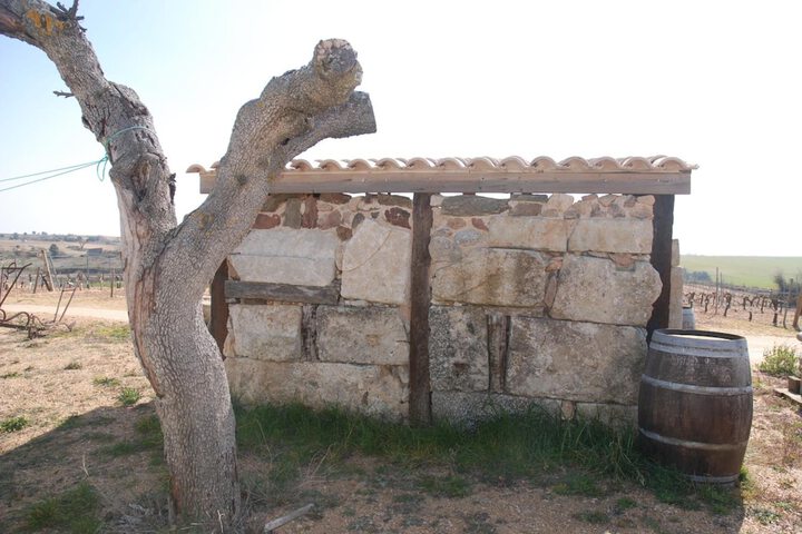 Hotel 5 of 26