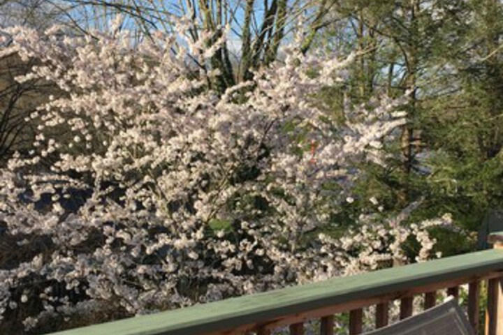 Terrace/Patio 15 of 16