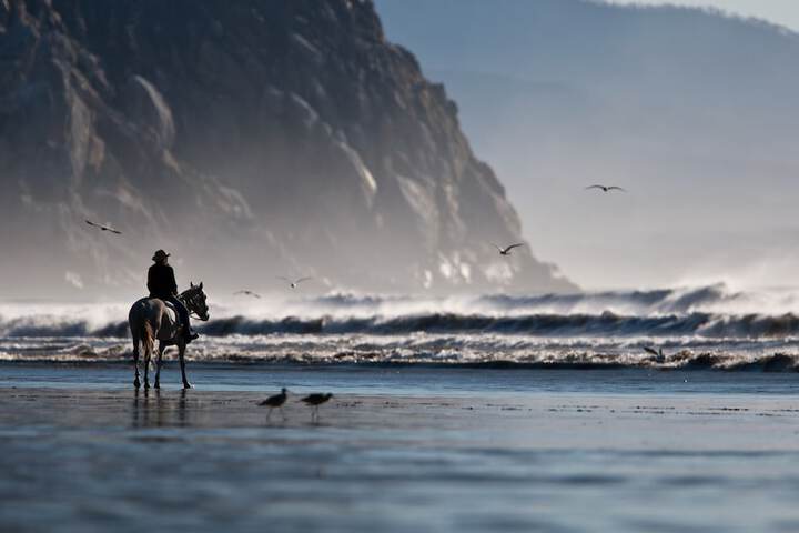 Beach 50 of 63