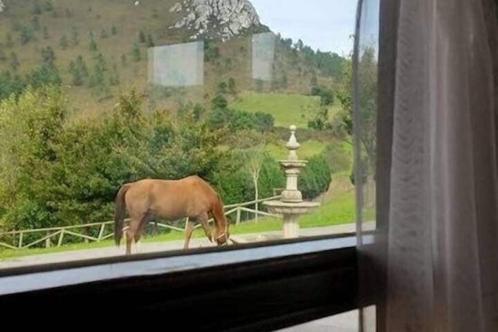 View from room