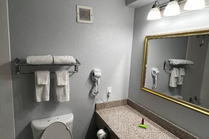 1 King Bed Mobility Accessible Bathtub with Grab Bars (4 of 8)