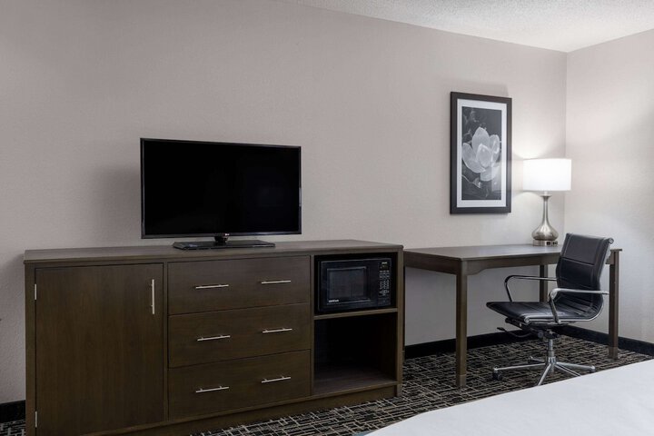 1 King Bed Mobility Accessible (16 of 20)