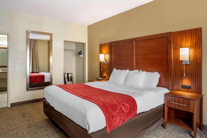 1 King Bed Suite (2 of 12)