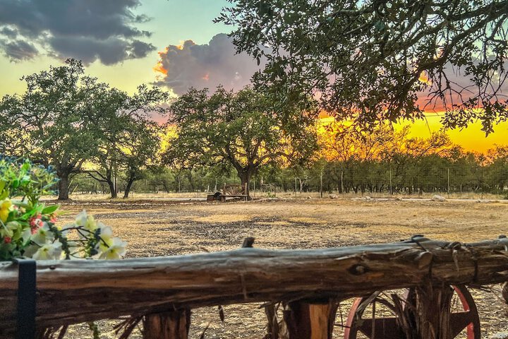 Terrace/Patio 306 of 459