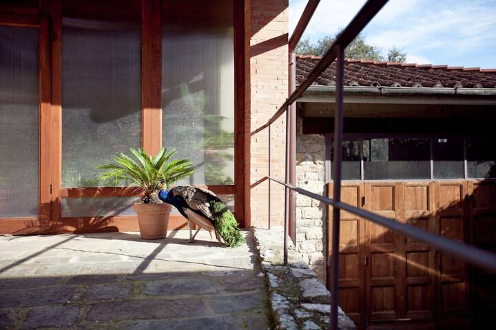 Terrace/Patio 40 of 110