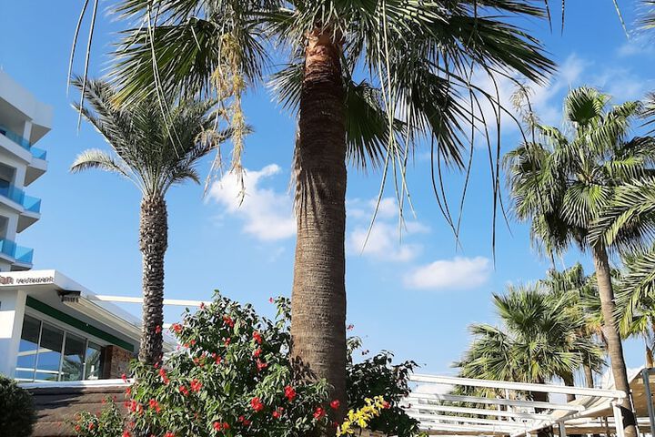 Hotel Exterior 83 of 99