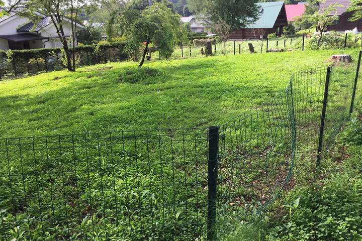 Property Grounds 24 of 31
