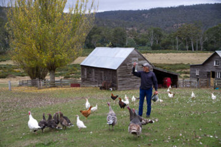 Property Grounds 71 of 74