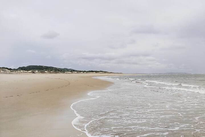 Beach 60 of 74