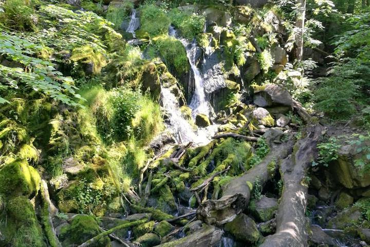 Property Grounds 21 of 24