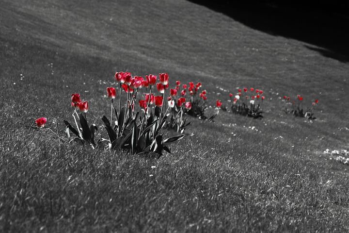 Outdoor Activities 34 of 50