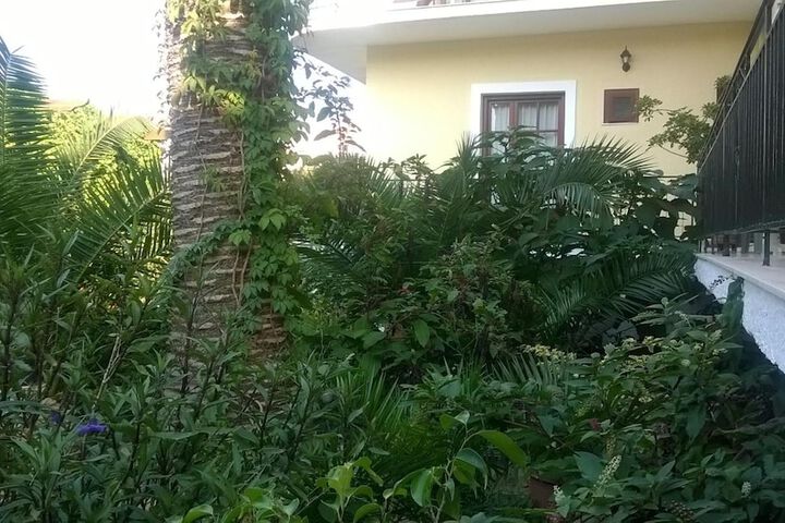 Property Grounds 40 of 68
