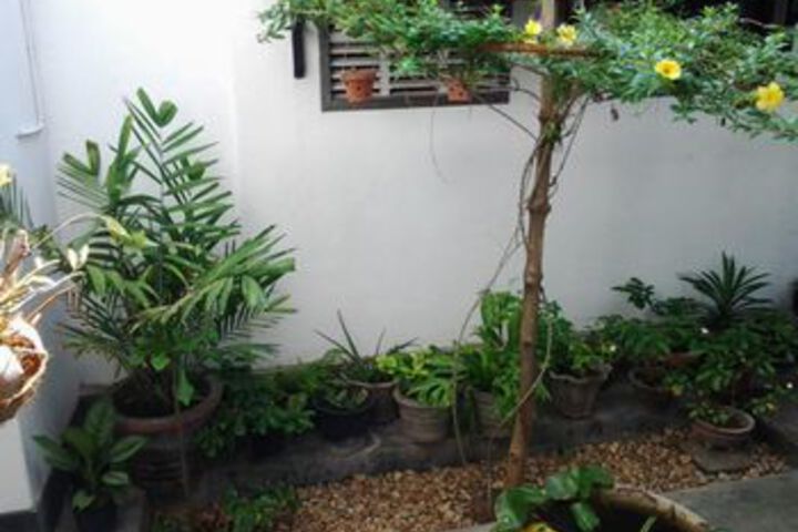 Whispering Palms Tourist Rest