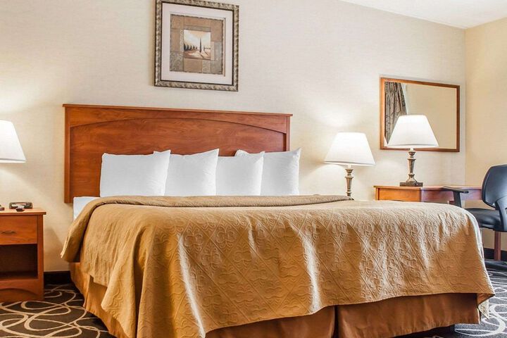 1 King Bed Suite with Sofa Bed (5 of 10)