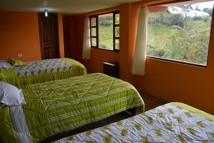 Room 19 of 173