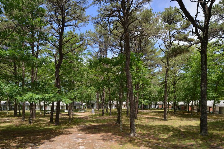 BBQ/picnic area