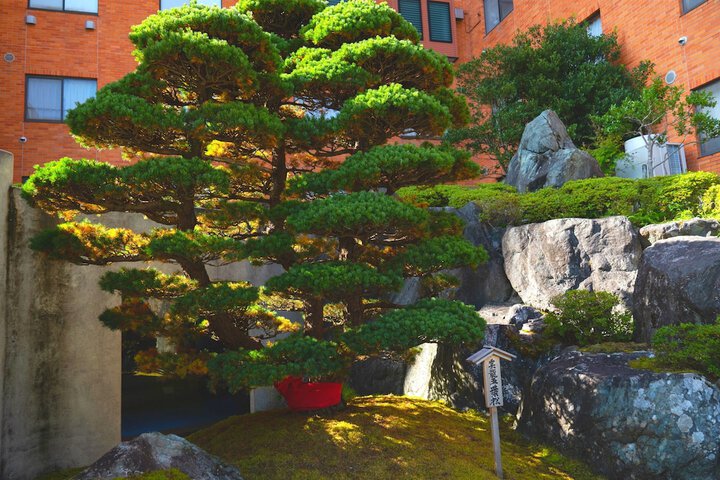 Hotel Exterior 84 of 114