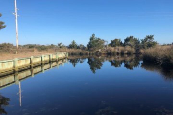 Property Grounds 80 of 113