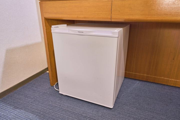 Mini-refrigerator