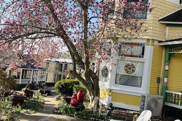 Hotel Exterior 288 of 289