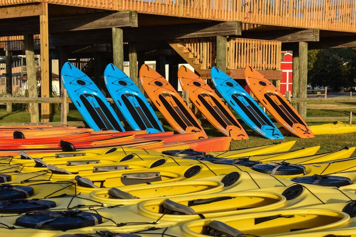 Water Sports 11 of 36