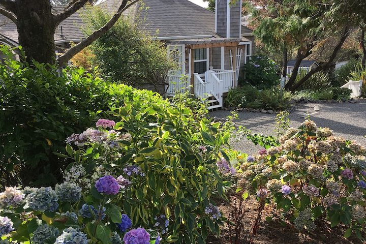 Property Grounds 50 of 93