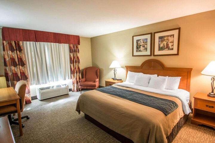 2 Queen Beds (12 of 16)
