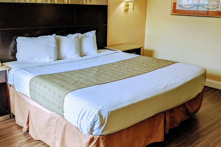 Basic Single King Bed (4 of 9)